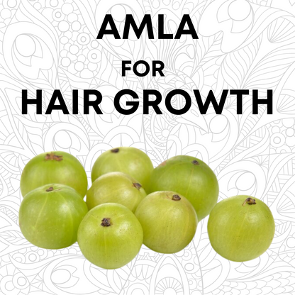 Amla Powder | Indian Gooseberry For Hair Growth 100Gm