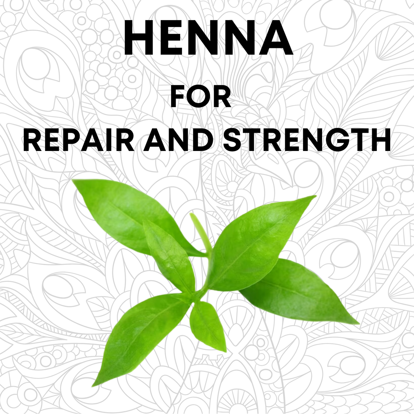 Henna Powder | Lawsonia Inermis for Hair Care 100Gm